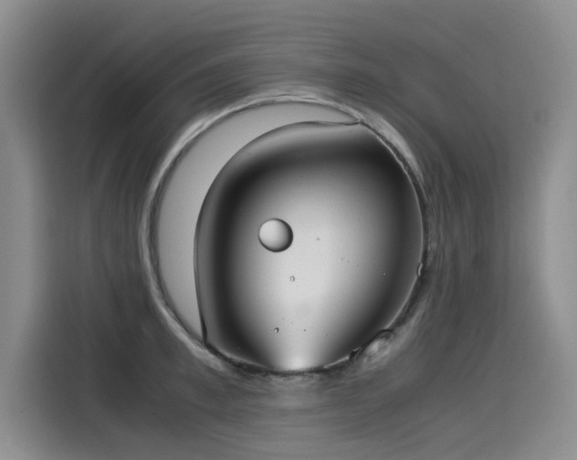 X0000115580997200911171006