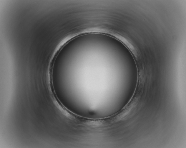 X0000115580998200911171006