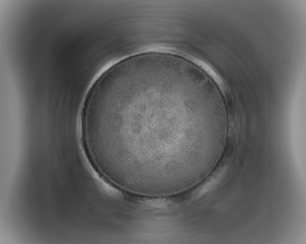 X0000115580999200911171006