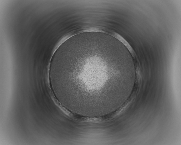 X0000115581002200911171006