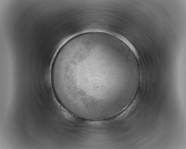 X0000115581004200911171006