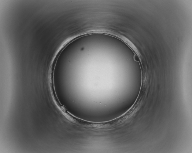 X0000115581005200911171006