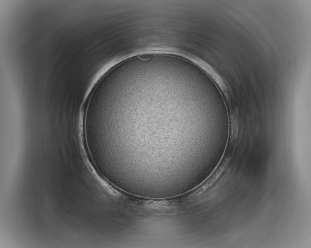 X0000115581006200911171006