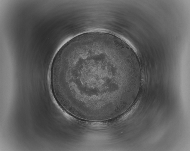 X0000115581007200911171006