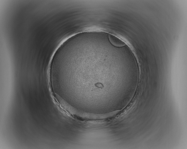 X0000115581008200911171006