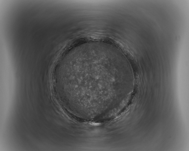 X0000115581009200911171005