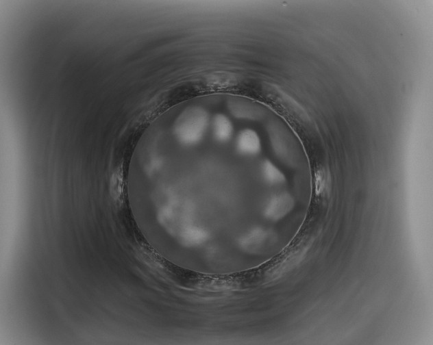 X0000115581011200911171005