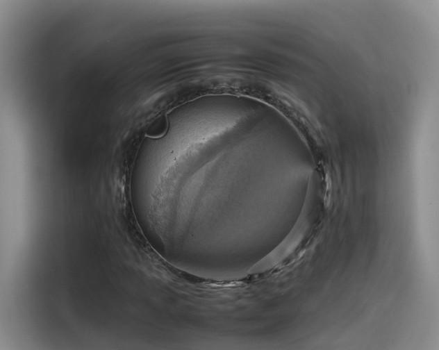 X0000115581013200911171005