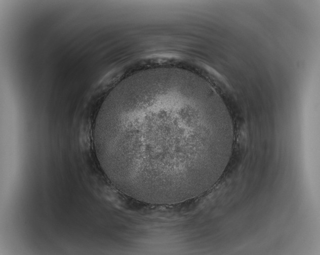 X0000115581014200911171005