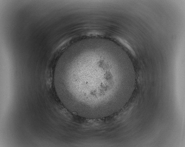 X0000115581015200911171005