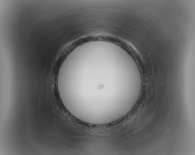 X0000115581016200911171005