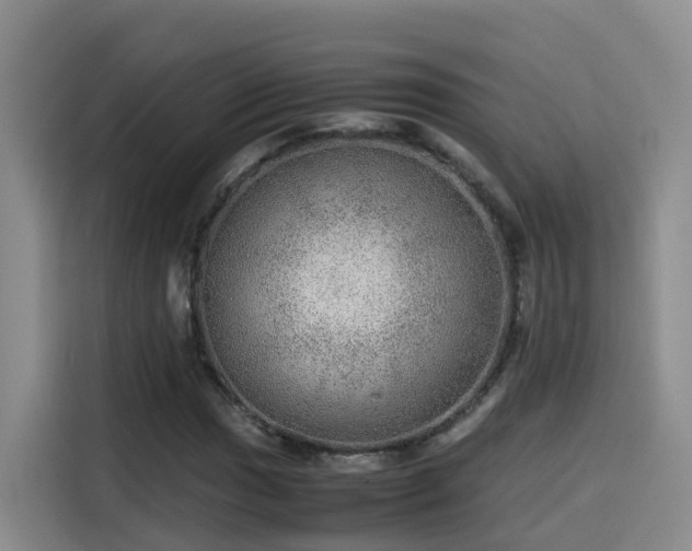 X0000115581017200911171005