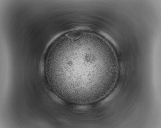 X0000115581021200911171005