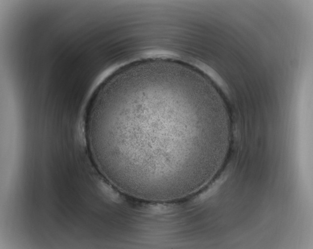 X0000115581022200911171005