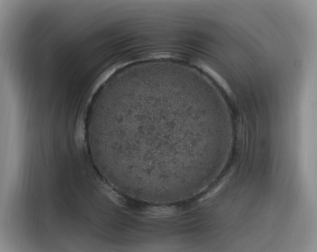 X0000115581023200911171005