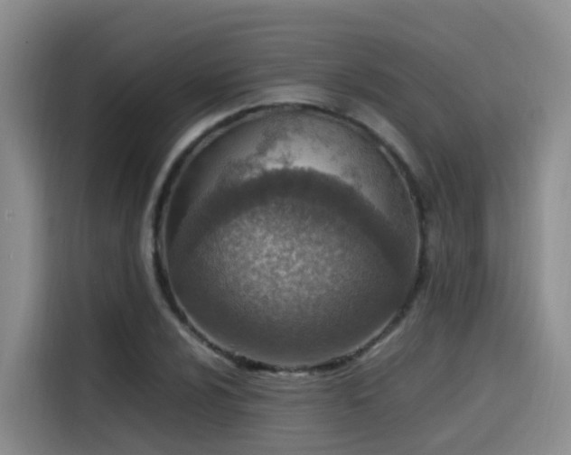 X0000115581024200911171005