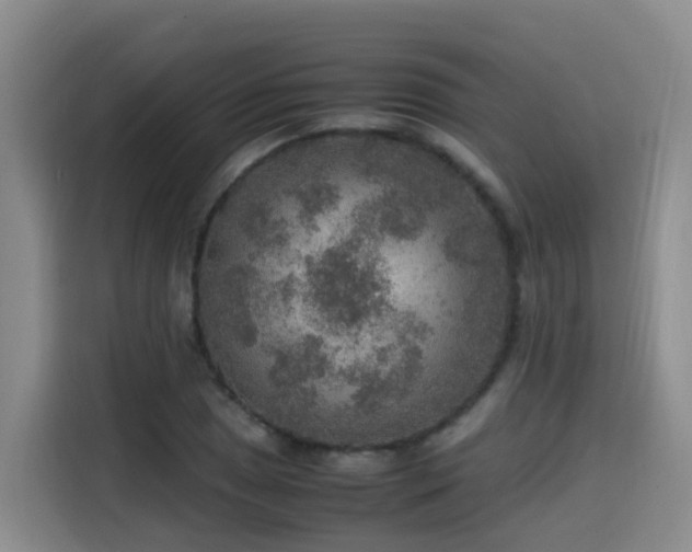 X0000115581025200911171005