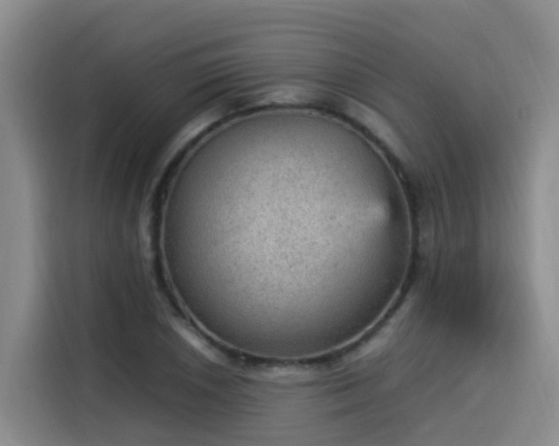 X0000115581026200911171005