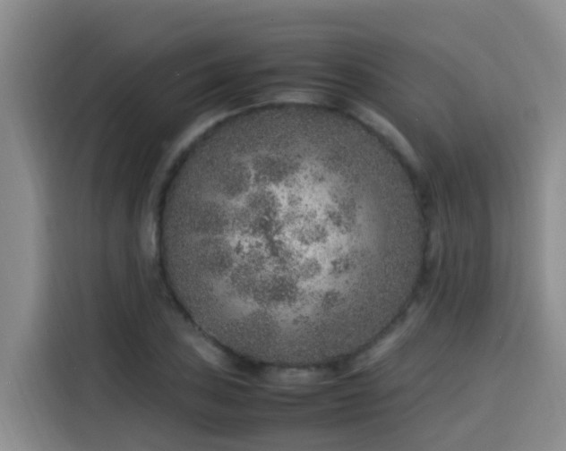 X0000115581027200911171005