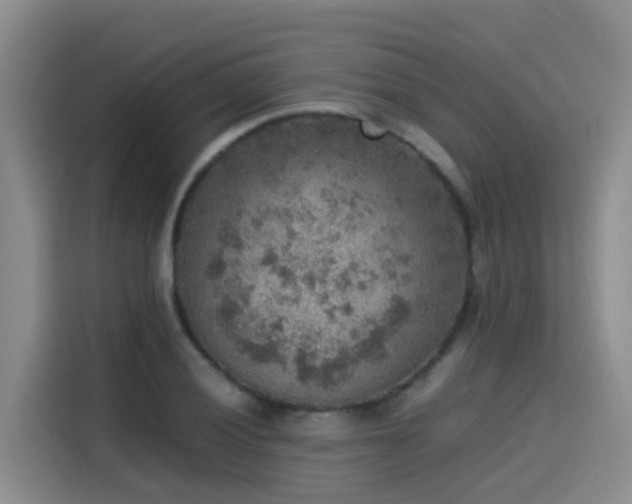 X0000115581028200911171005