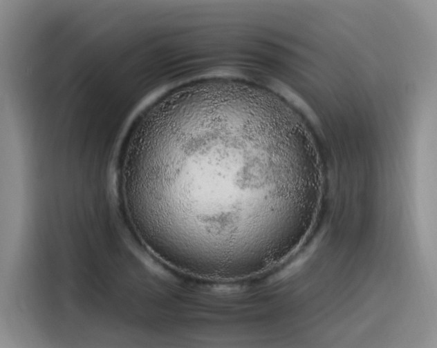 X0000115581029200911171005