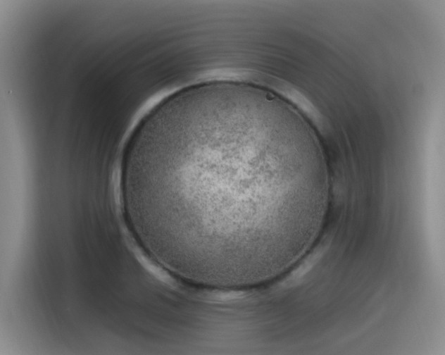 X0000115581030200911171005