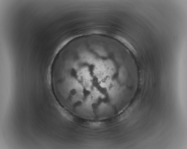 X0000115581031200911171005