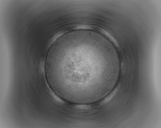 X0000115581033200911171005