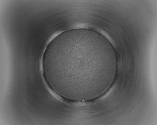 X0000115581034200911171005