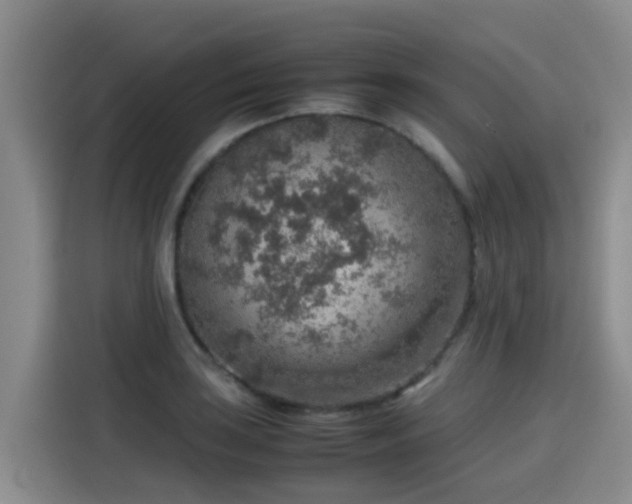 X0000115581035200911171005