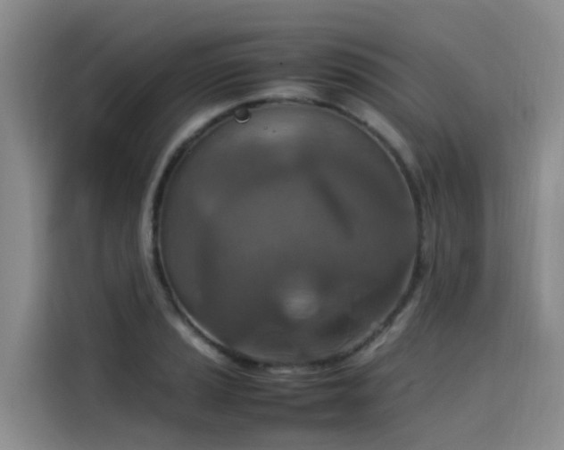 X0000115581037200911171005