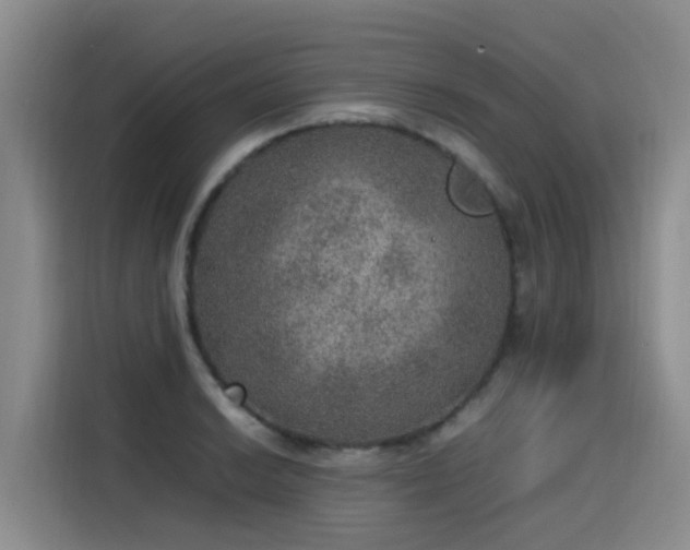 X0000115581038200911171005