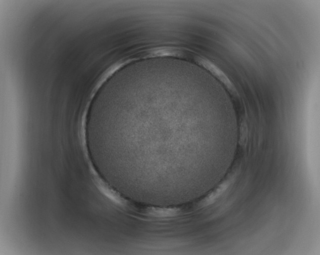 X0000115581039200911171005