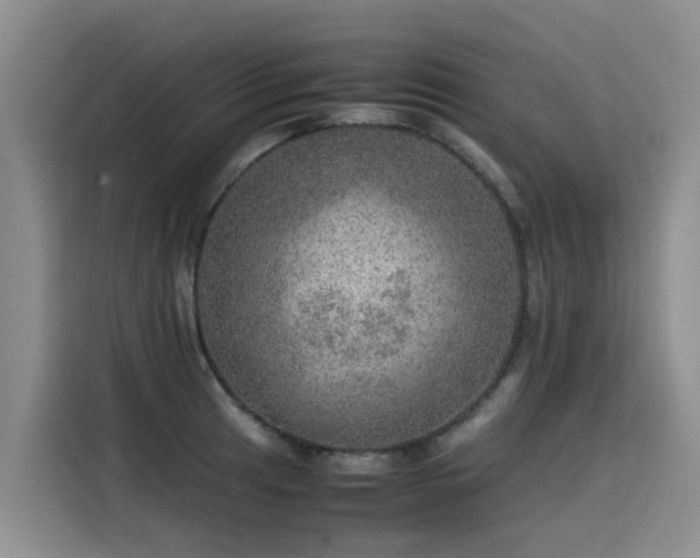 X0000115581041200911171005