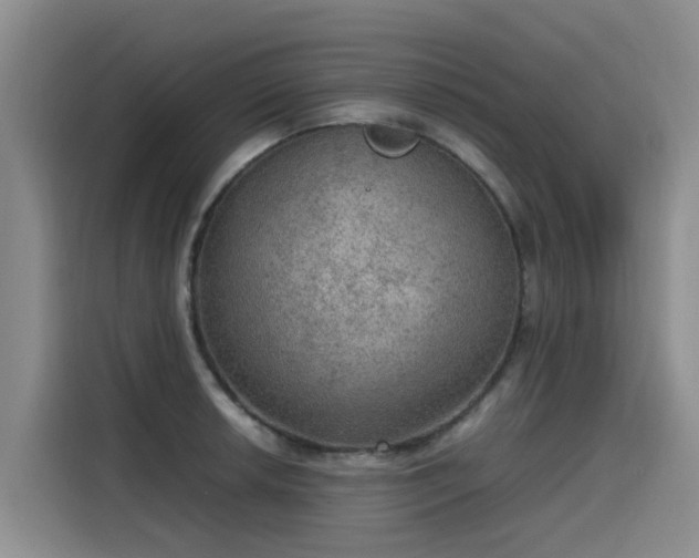 X0000115581042200911171005