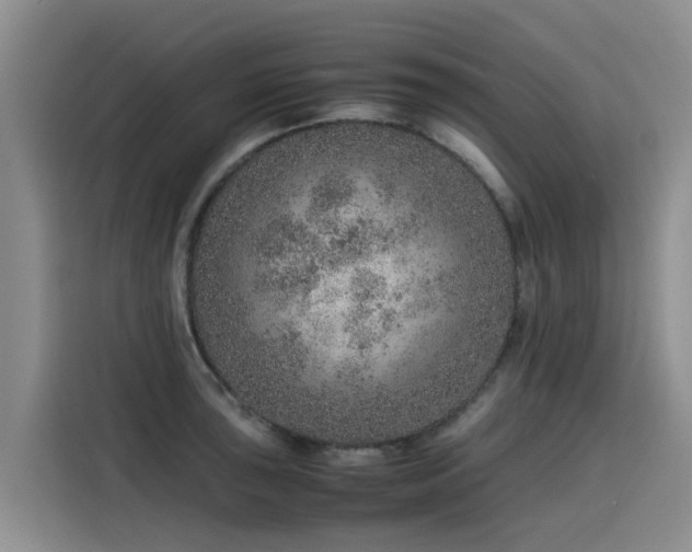 X0000115581043200911171005