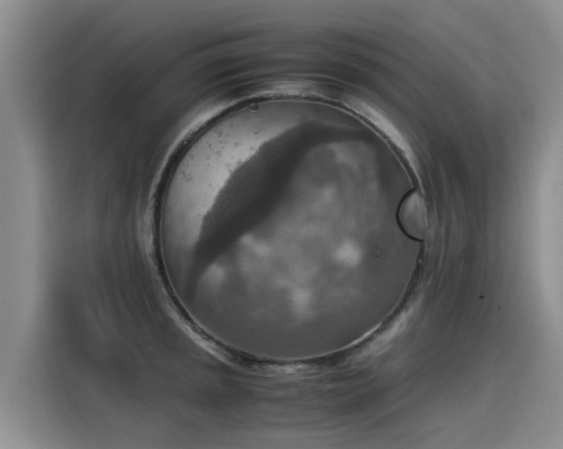 X0000115581045200911171005