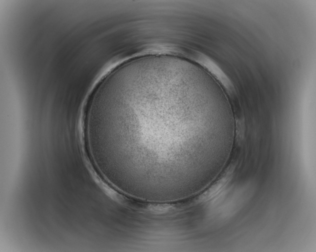 X0000115581046200911171005