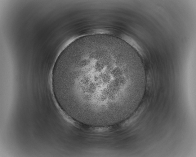 X0000115581047200911171005