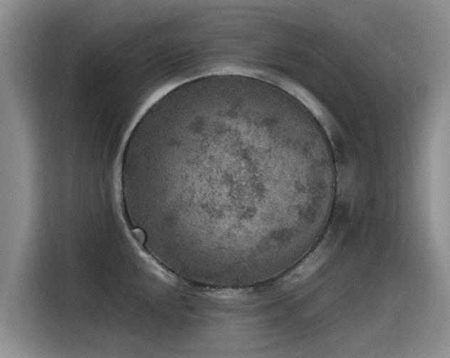 X0000115581048200911171005