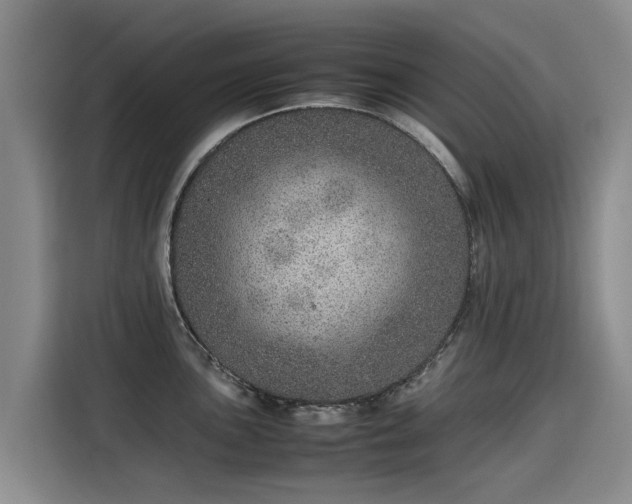 X0000115581051200911171006