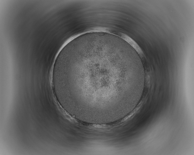 X0000115581052200911171006