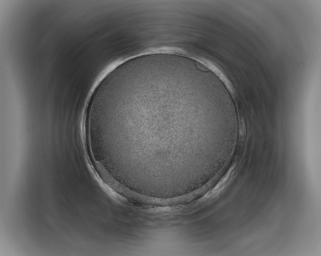 X0000115581054200911171006