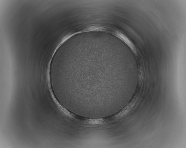 X0000115581055200911171006