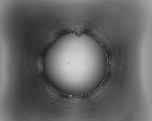 X0000115581058200911171005