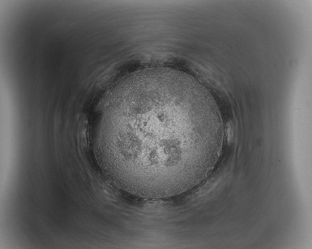 X0000115581059200911171005