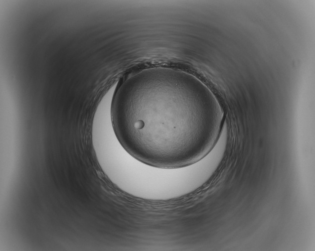 X0000115581060200911171005