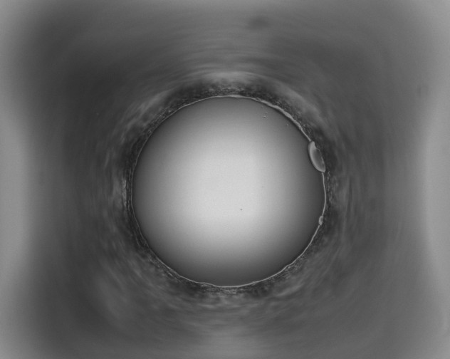 X0000115581061200911171005