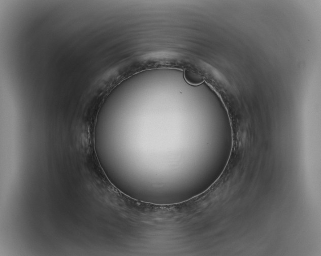 X0000115581062200911171005