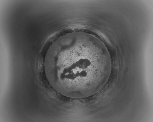 X0000115581063200911171005